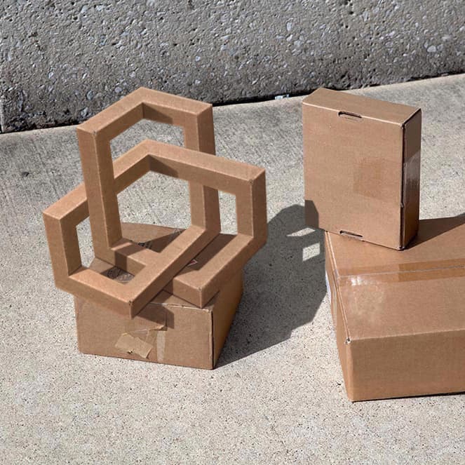 Image for submission 'Ergun Akleman'