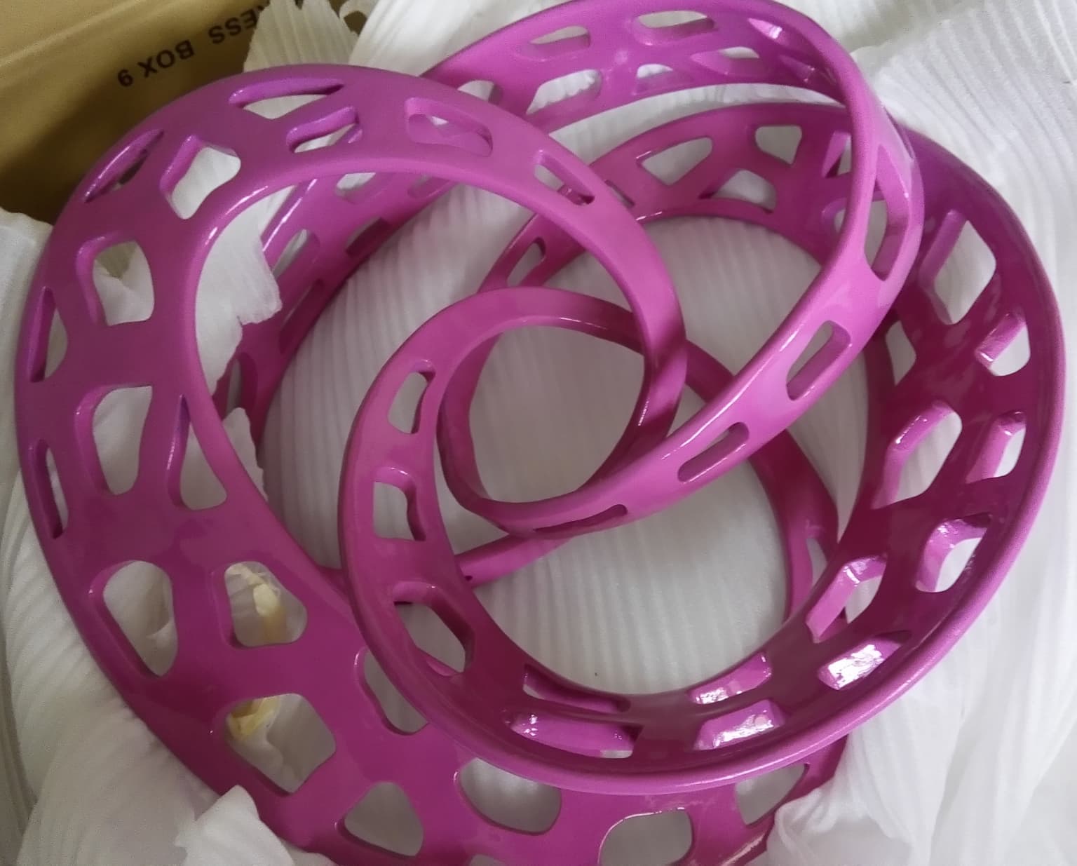 Image for entry 'Voronoi Mobius Torus path #2'