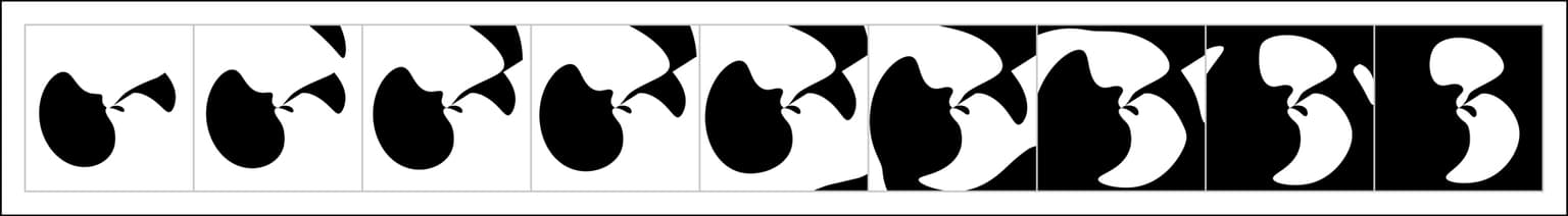Image for entry 'metamorphosis var 3'