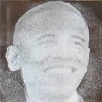 Image for submission 'Gershon Elber'