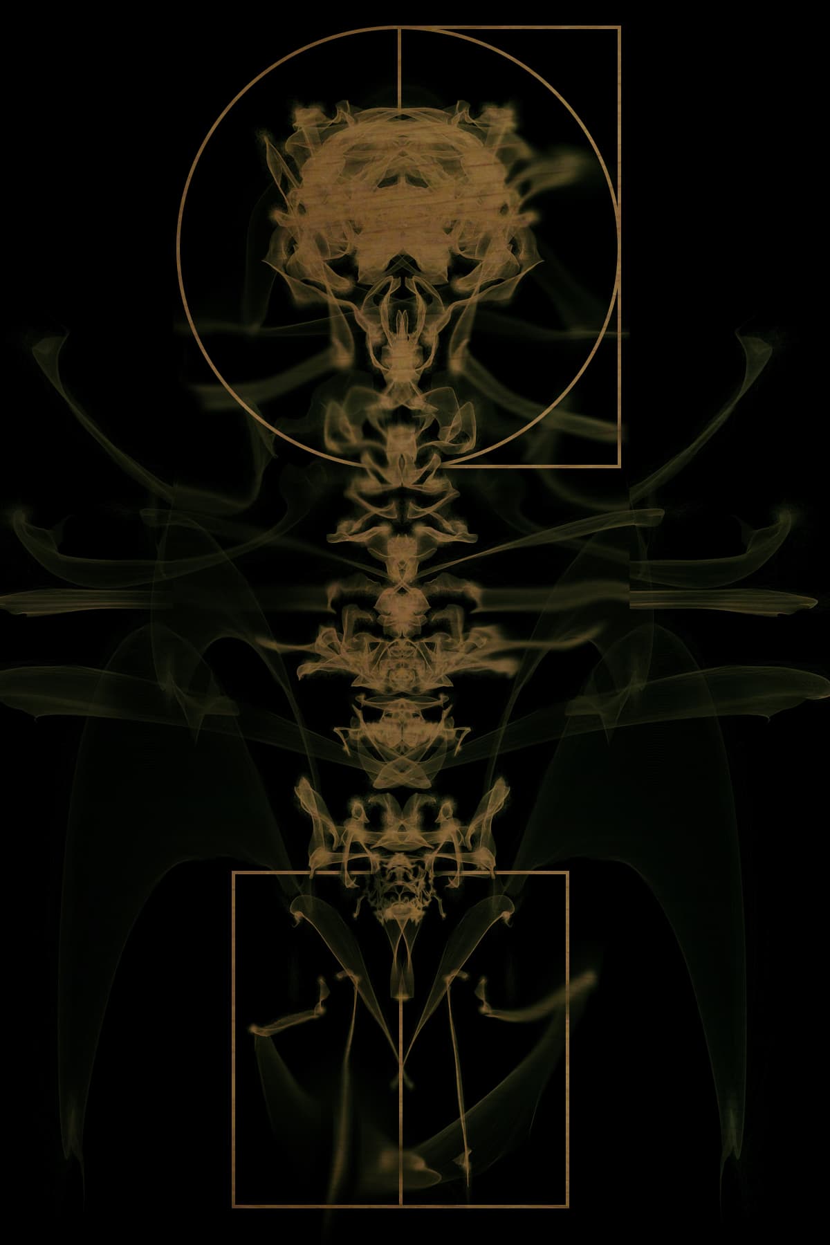 Image for entry 'Interface'