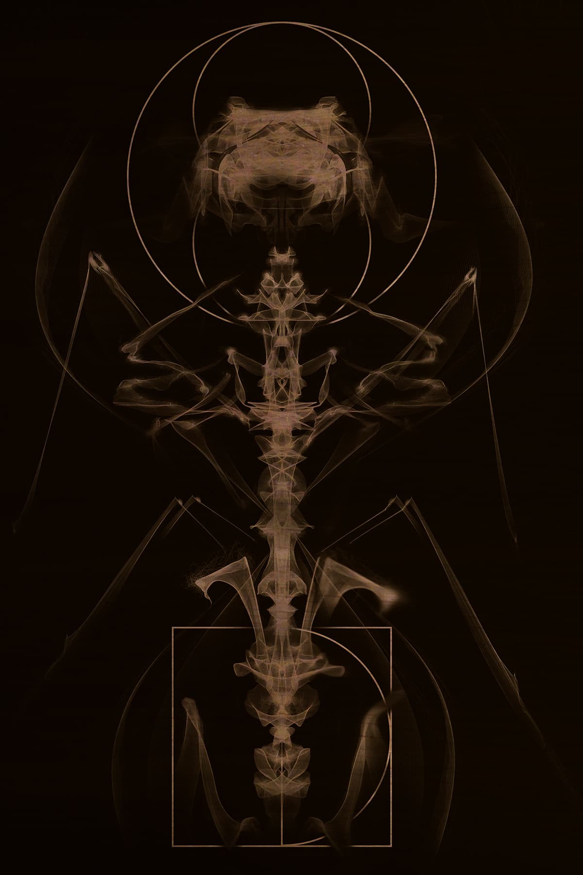 Image for entry 'Interface'