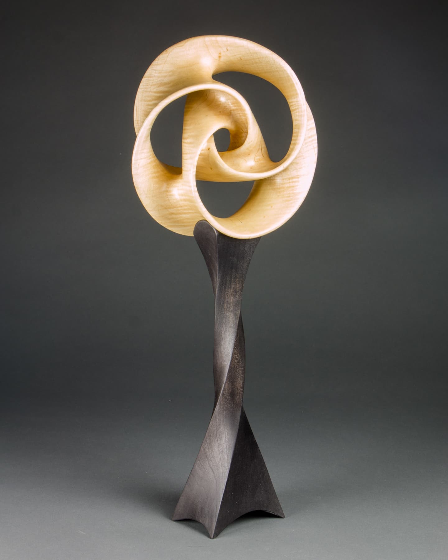 Image for Involute