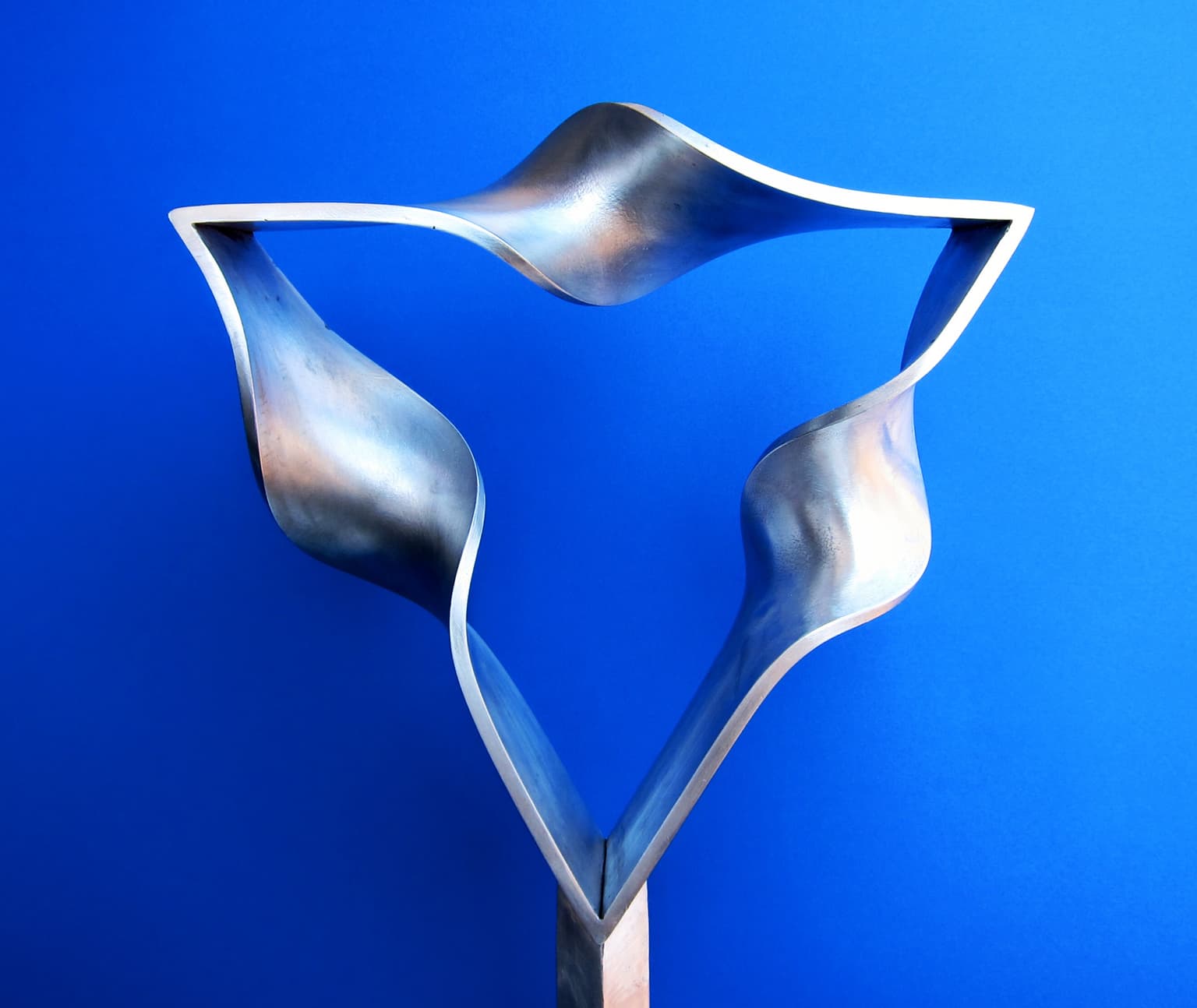 Image for submission 'Nathaniel Friedman'