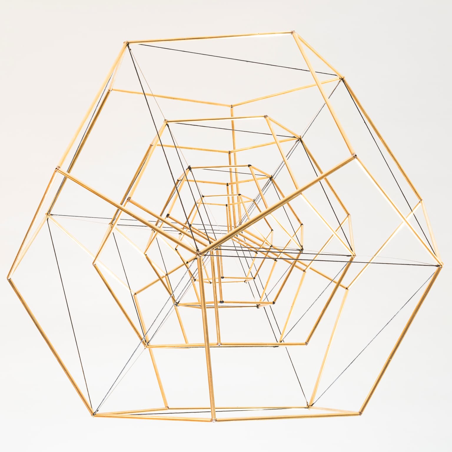 Image for submission 'Martin Levin'