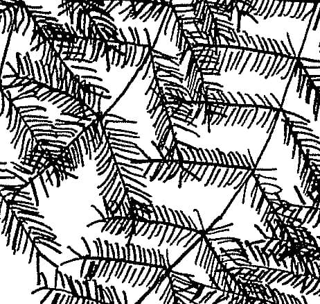 Image for submission 'Susan Happersett'