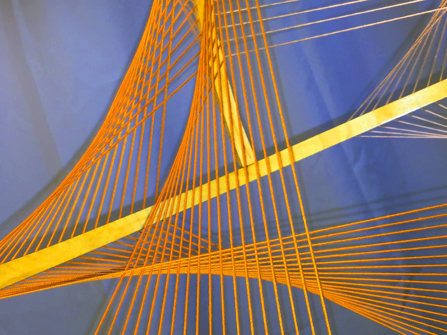 Image for submission 'David H Press'