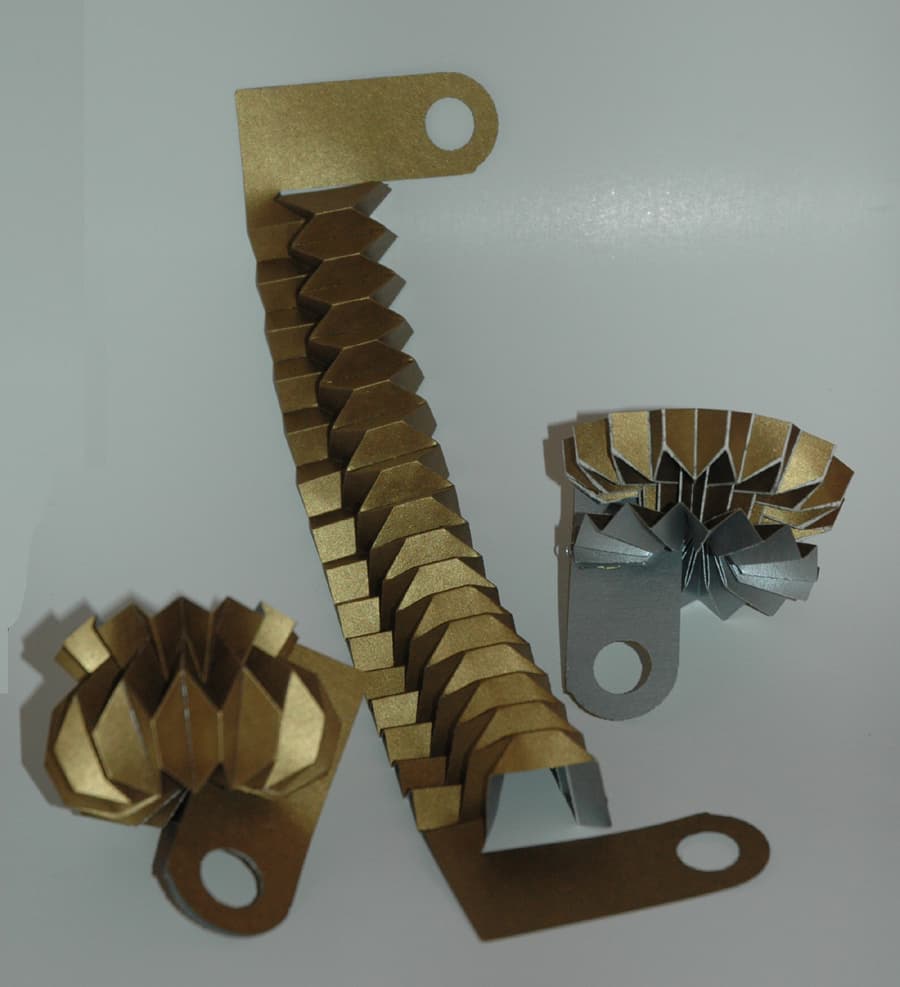 Image for entry 'Rings of Revolution'