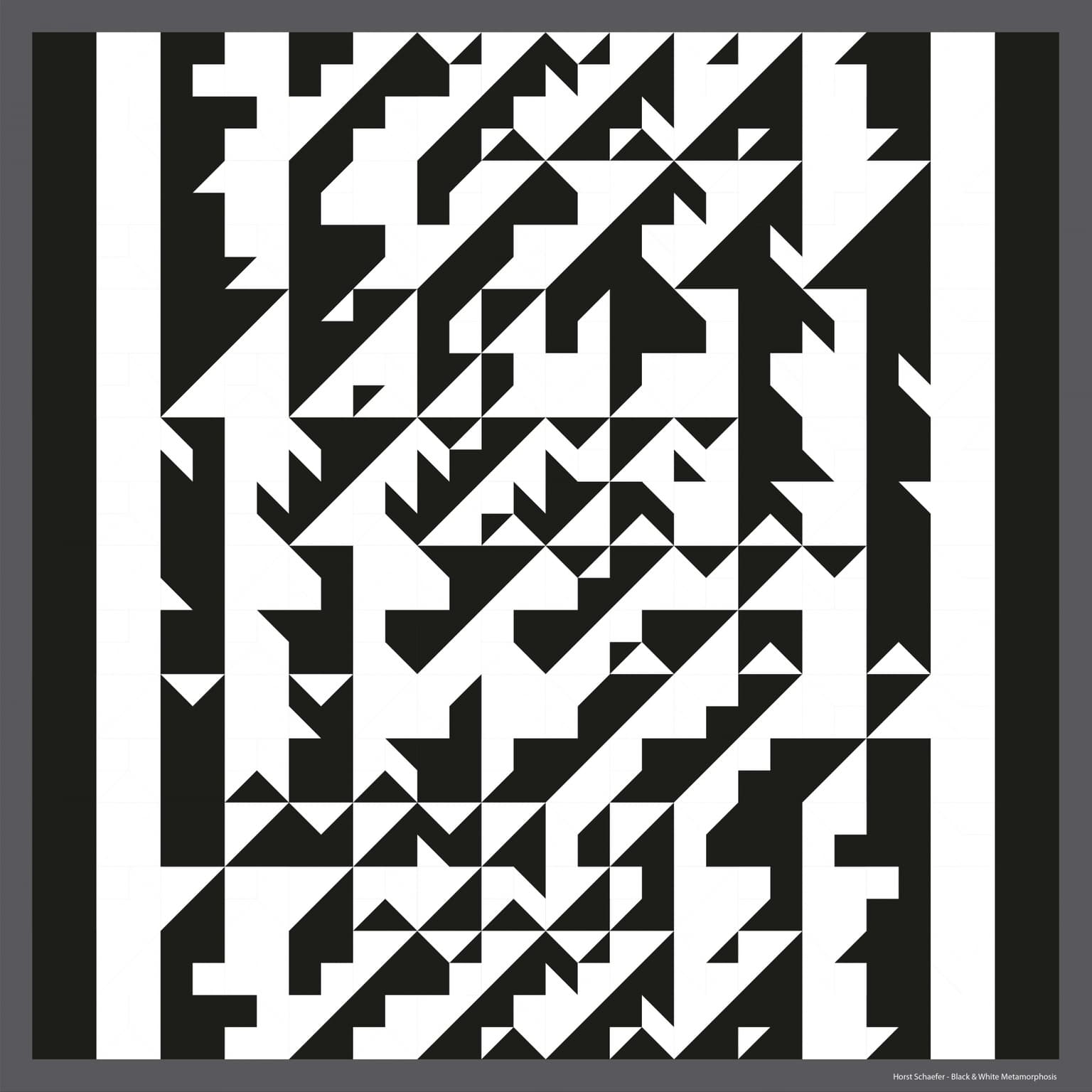 Image for entry 'Black & White Metamorphosis'