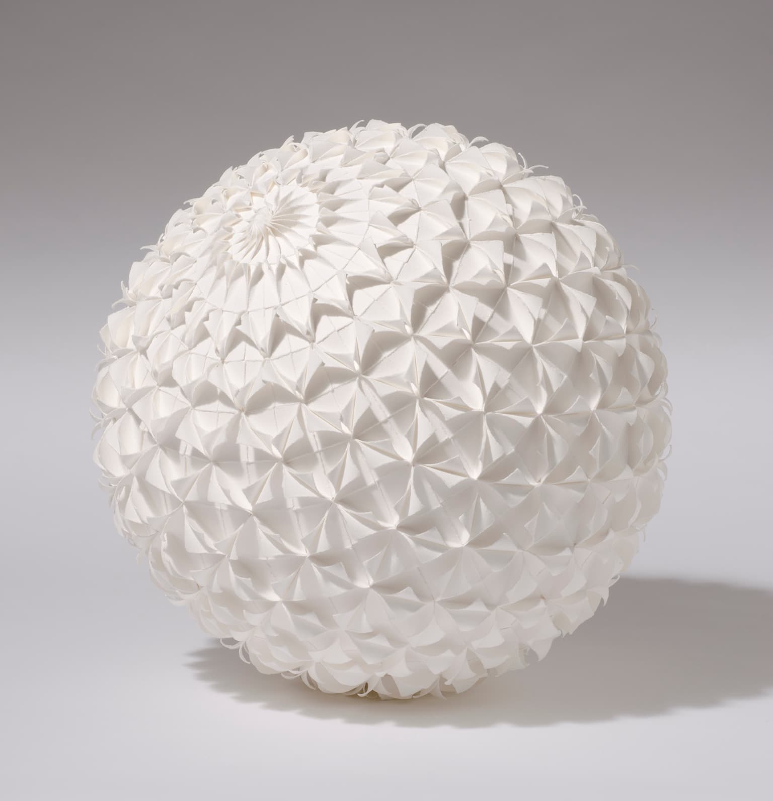 Image for entry 'Whorl 3'