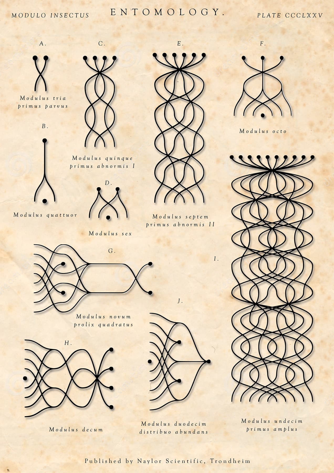 Image for entry 'Entomology: Modulo Insectus'