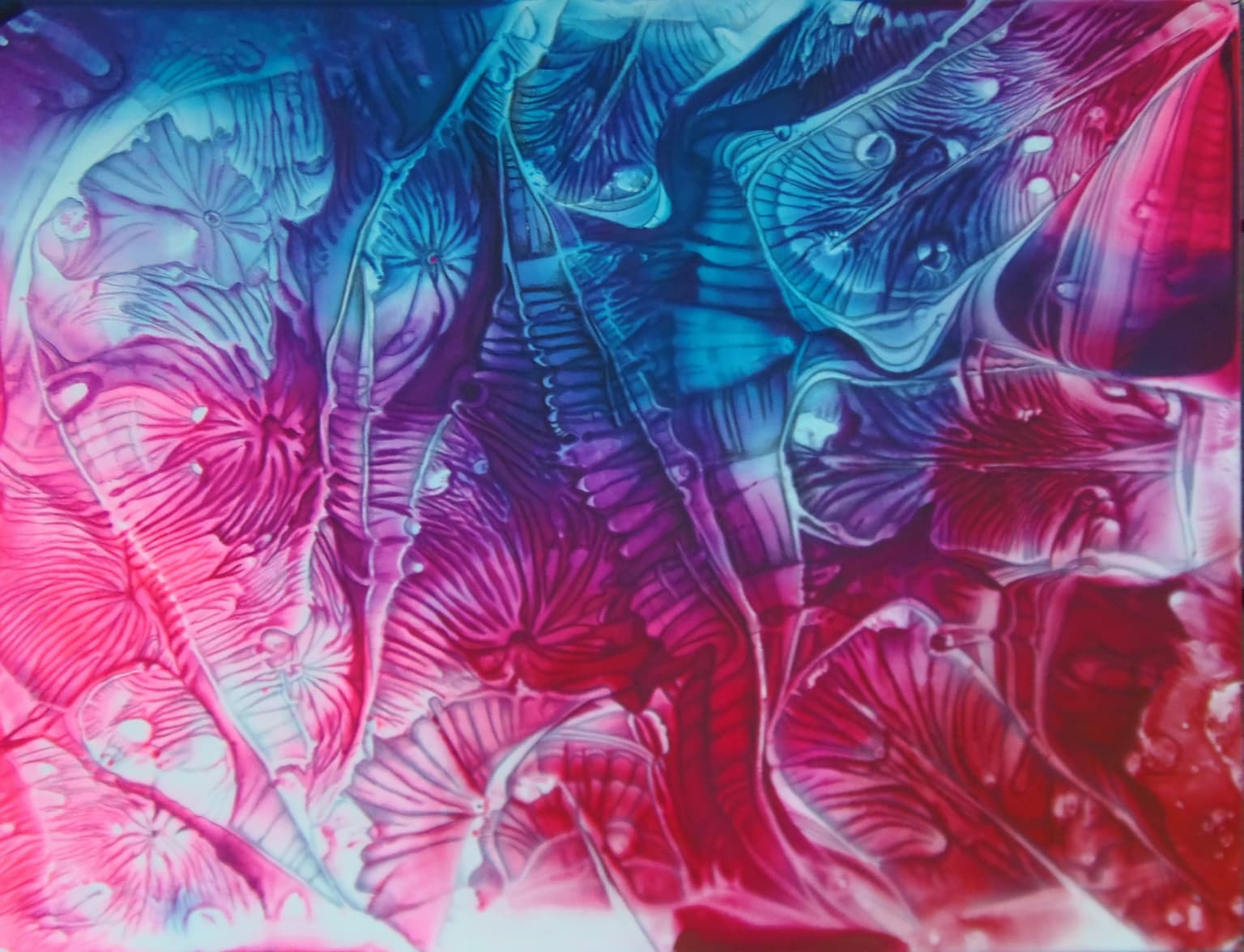 Image for entry 'Warm Colors'