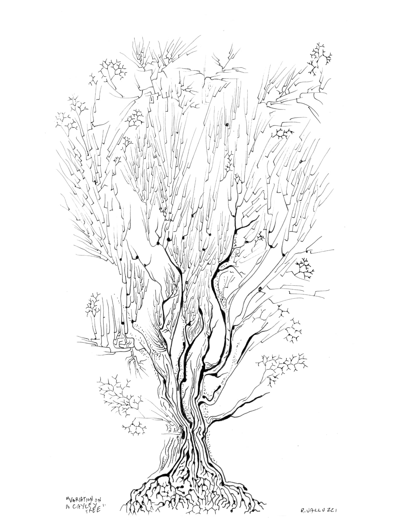 Image for entry 'Variation on a Cayley Tree'