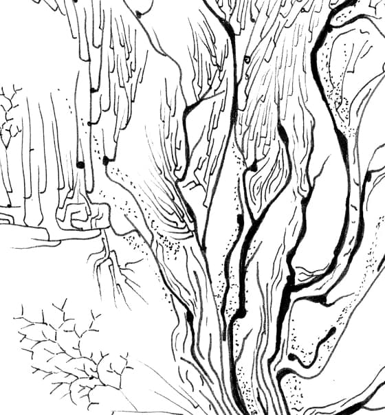 Image for submission 'Regina Valluzzi'
