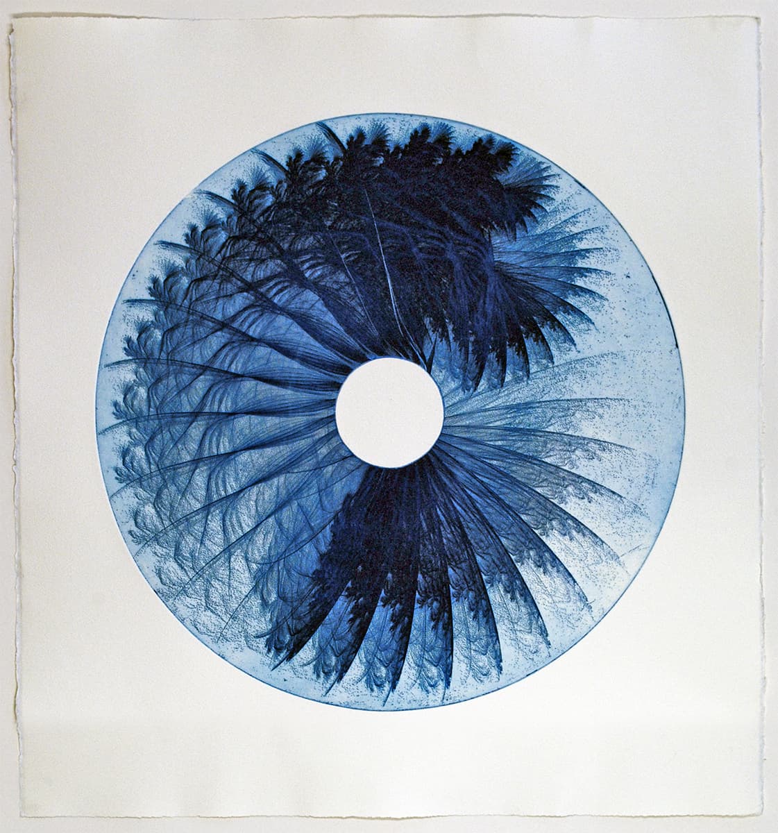Image for entry 'Fractal Self-Similarity'