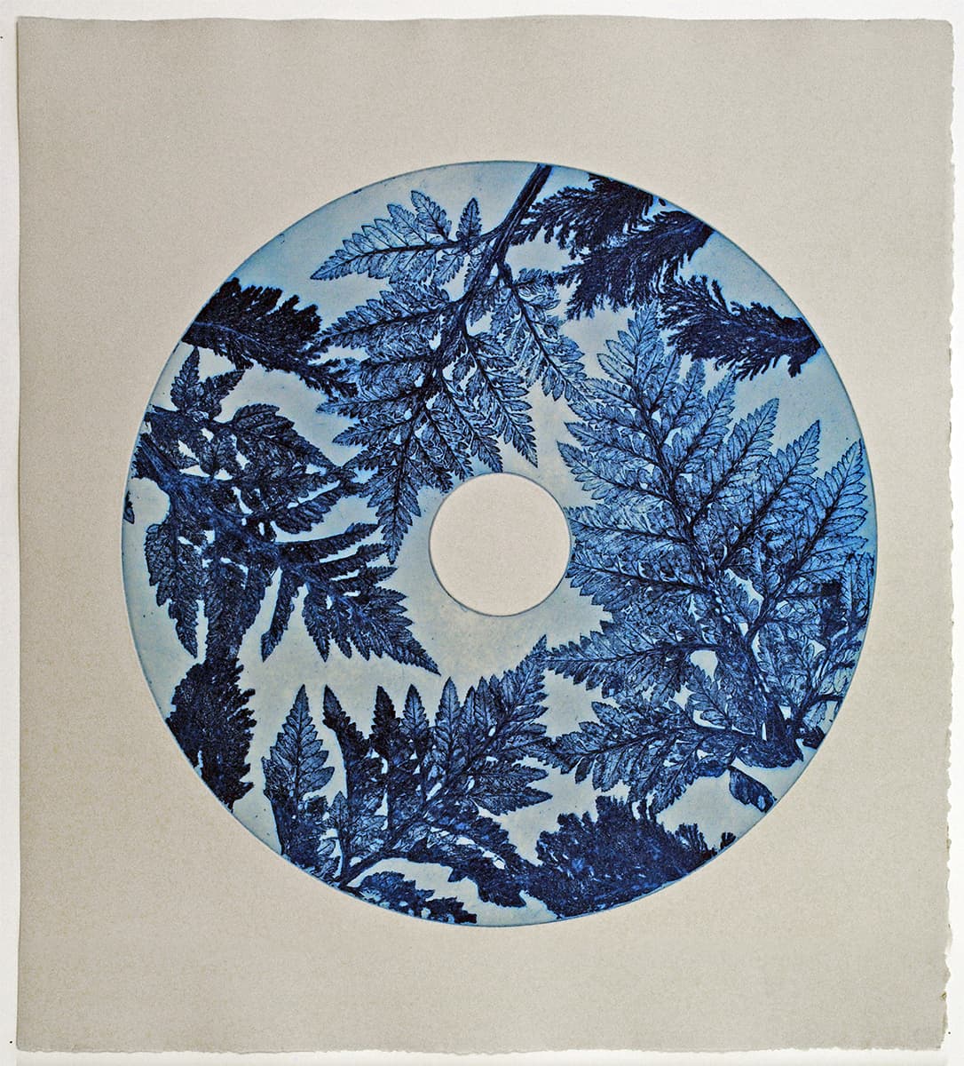 Image for entry 'Nature's Geometry'