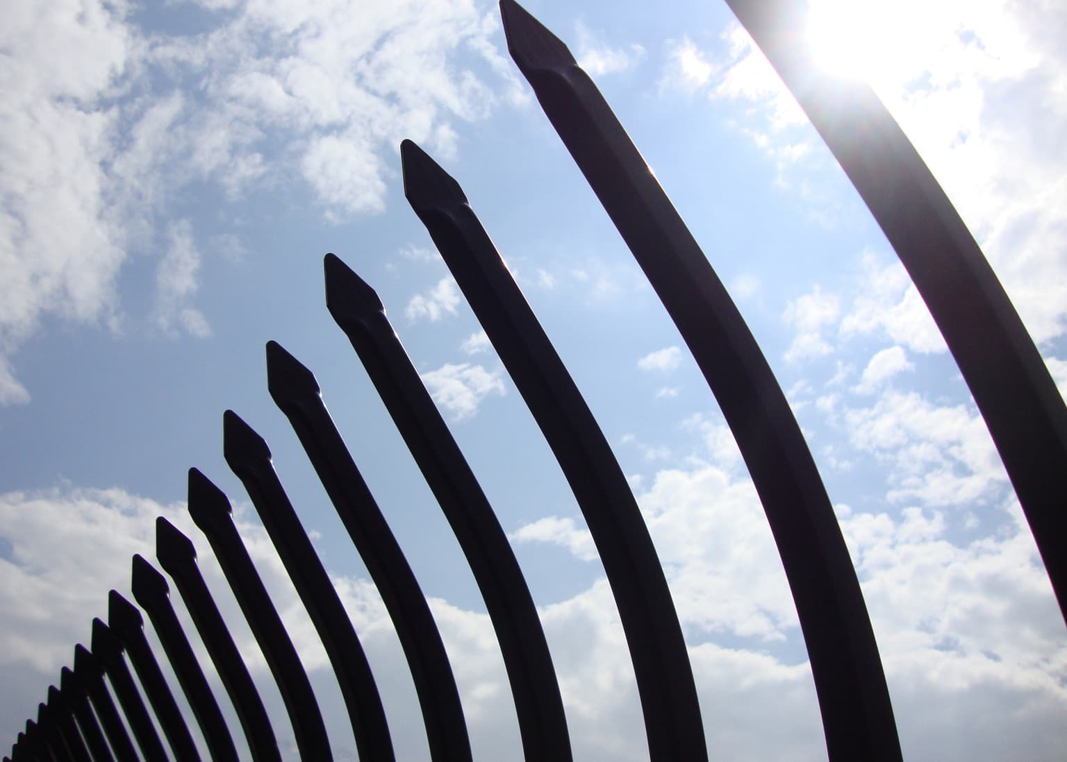 Image for entry 'An Infinite Series'