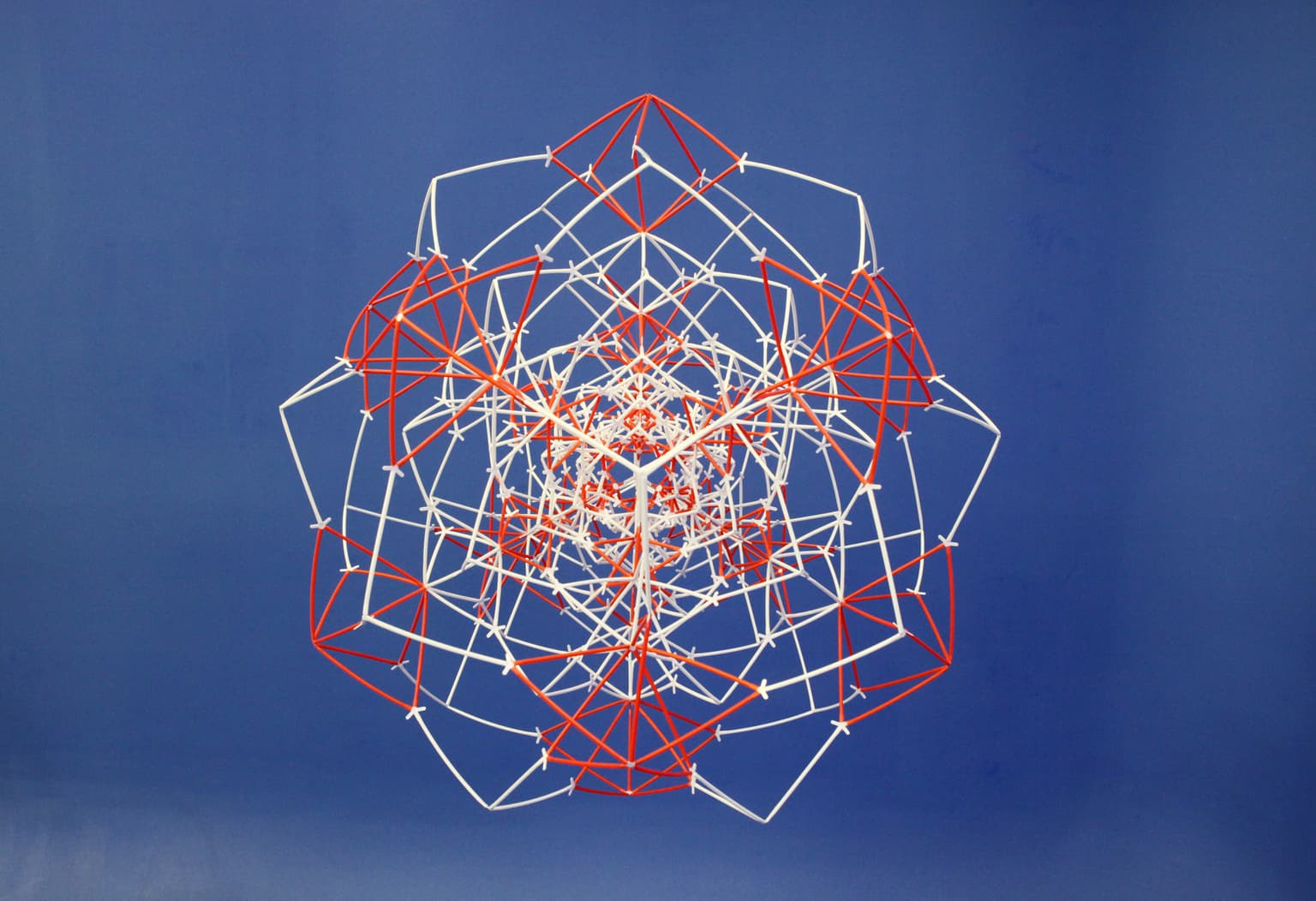 Image for entry 'The Archimedean Star Flower'