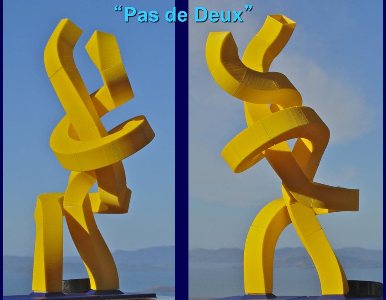 Image for entry 'Pas de Deux'