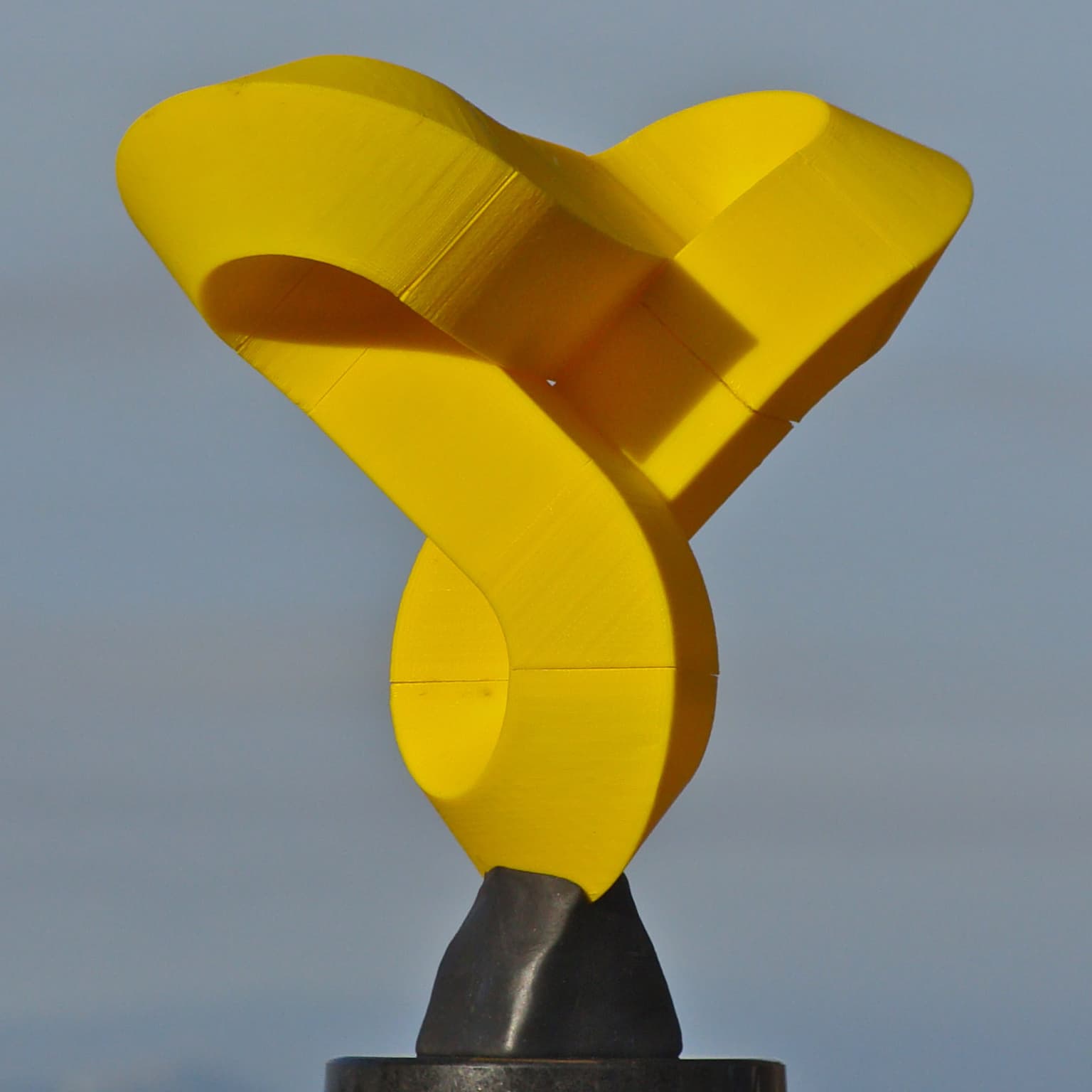 Image for entry 'Flipped-Lobe Borsalino'