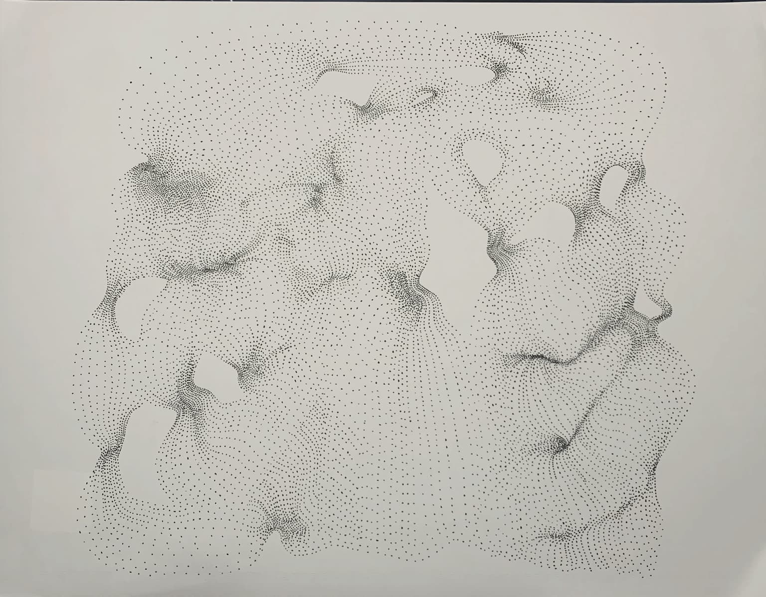 Image for Conservation