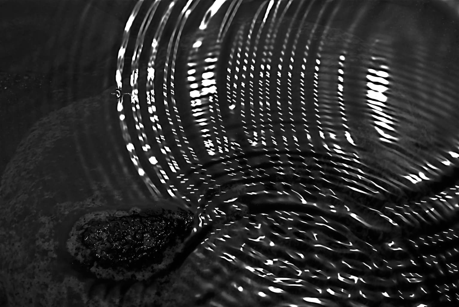 Image for entry 'Interference 2'