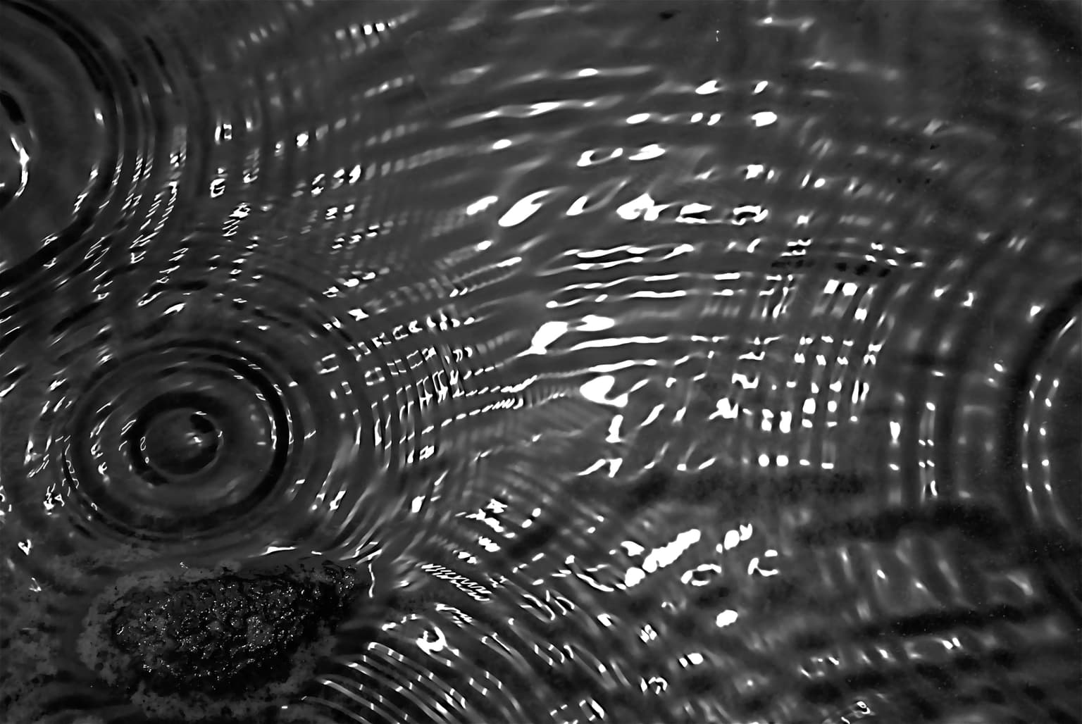 Image for submission 'Mohammad Yavari Rad'