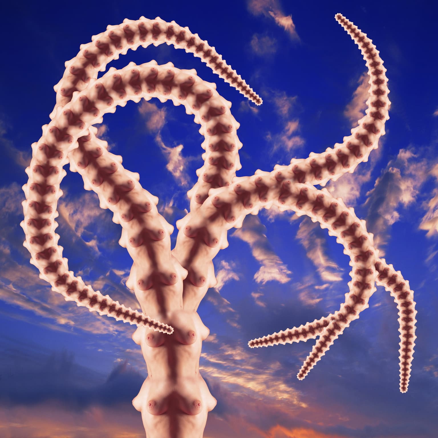 Image for entry 'Flower'