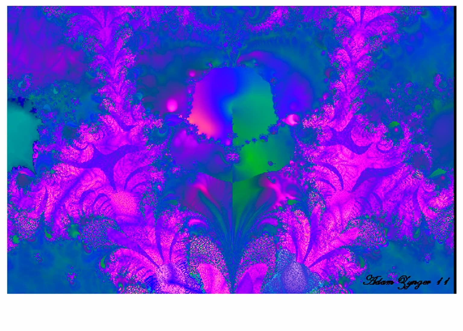 Image for The Jungle Moment