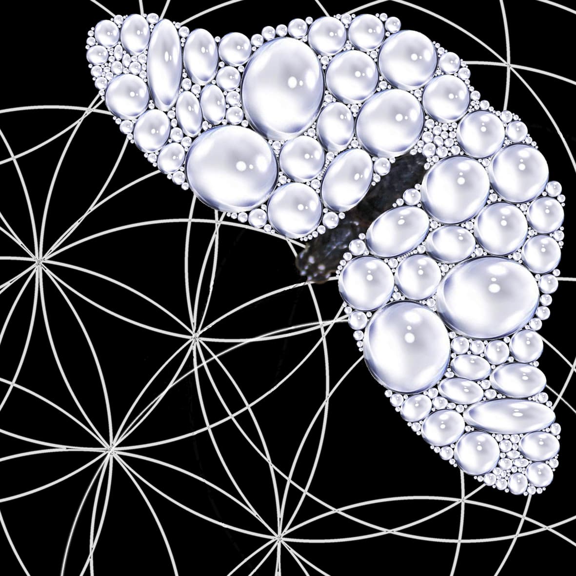 Image for submission 'Tatiana Bonch-Osmolovskaya'