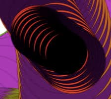 Image for submission 'Hartmut F. W. Höft'