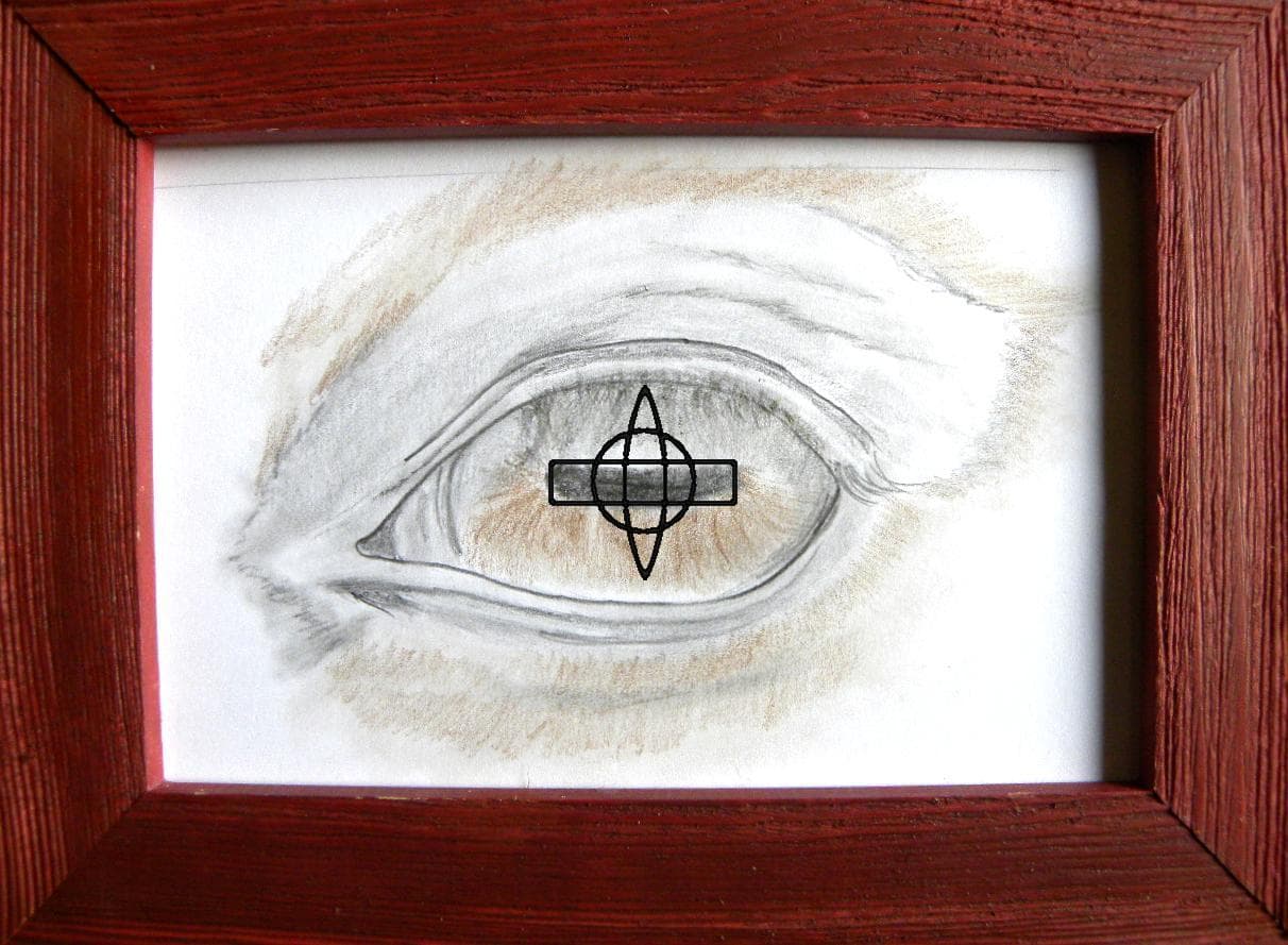 Image for entry 'Horses enjoy wider viewing than Humans'