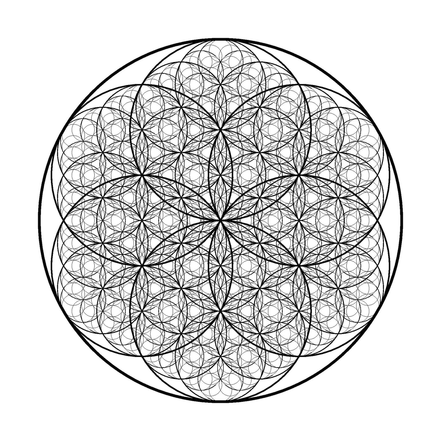 Image for entry 'Circle Fractal'