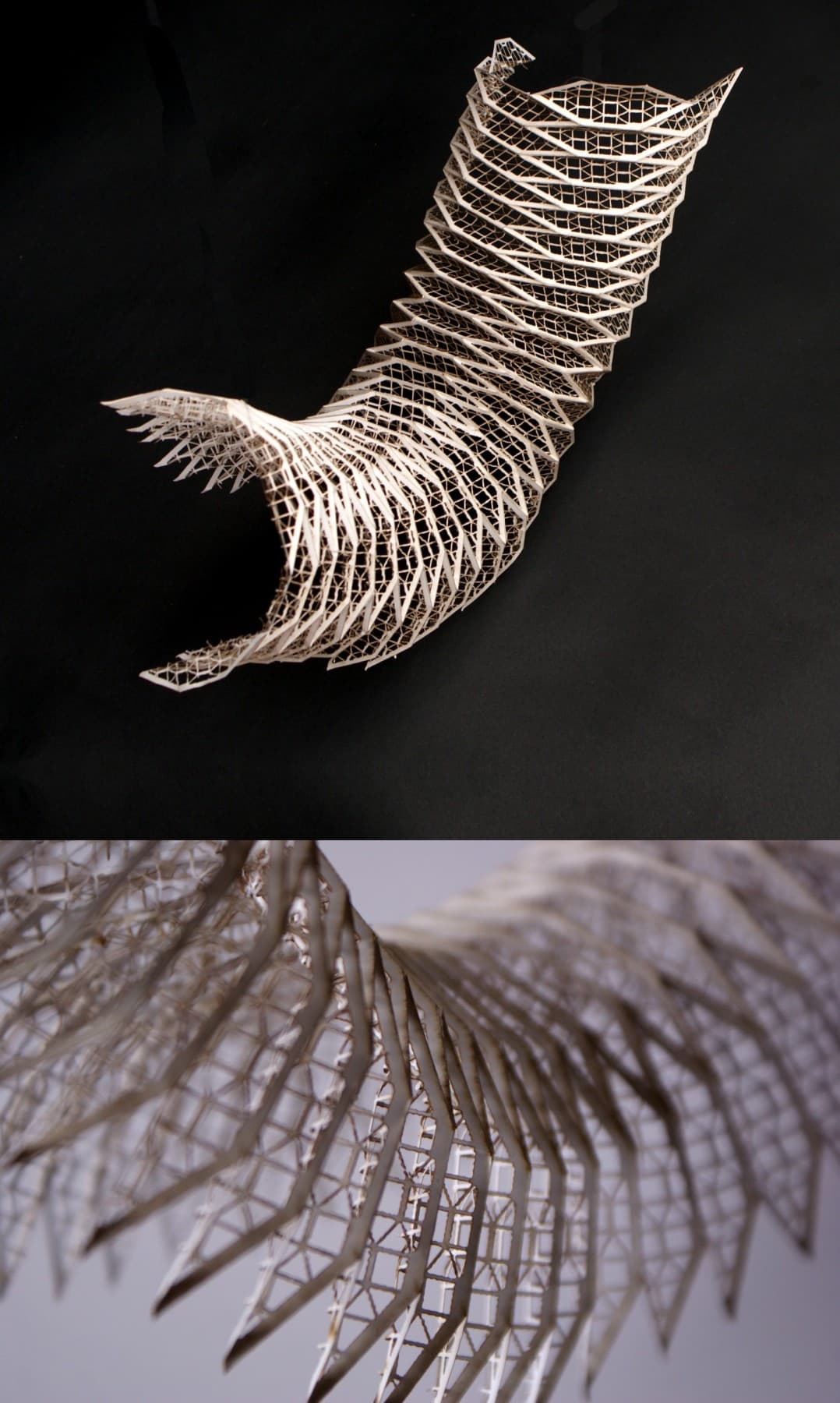 Image for entry 'Caterpillar'