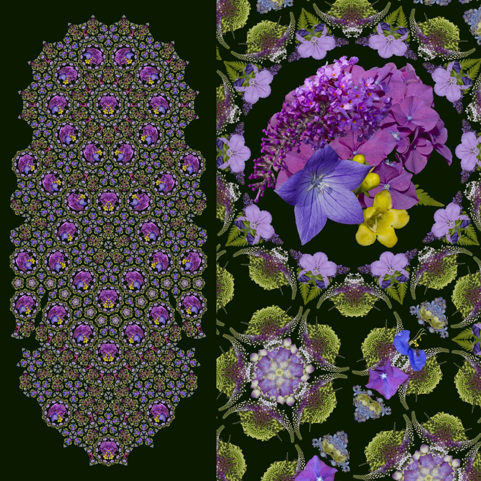 Image for Hydrangea, Ginseng and Gooseneck Loosestrife