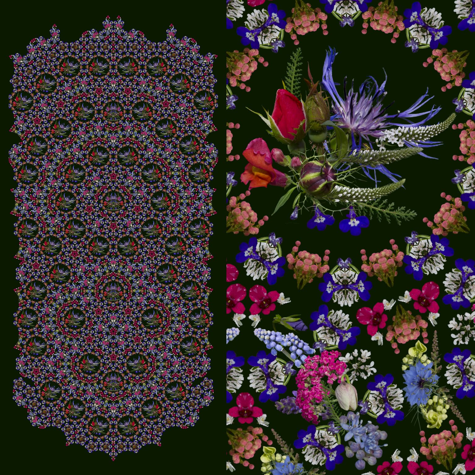 Image for Lobelia, Bachelor Buttons, Roses, Yarrow and Grape Hyacinth