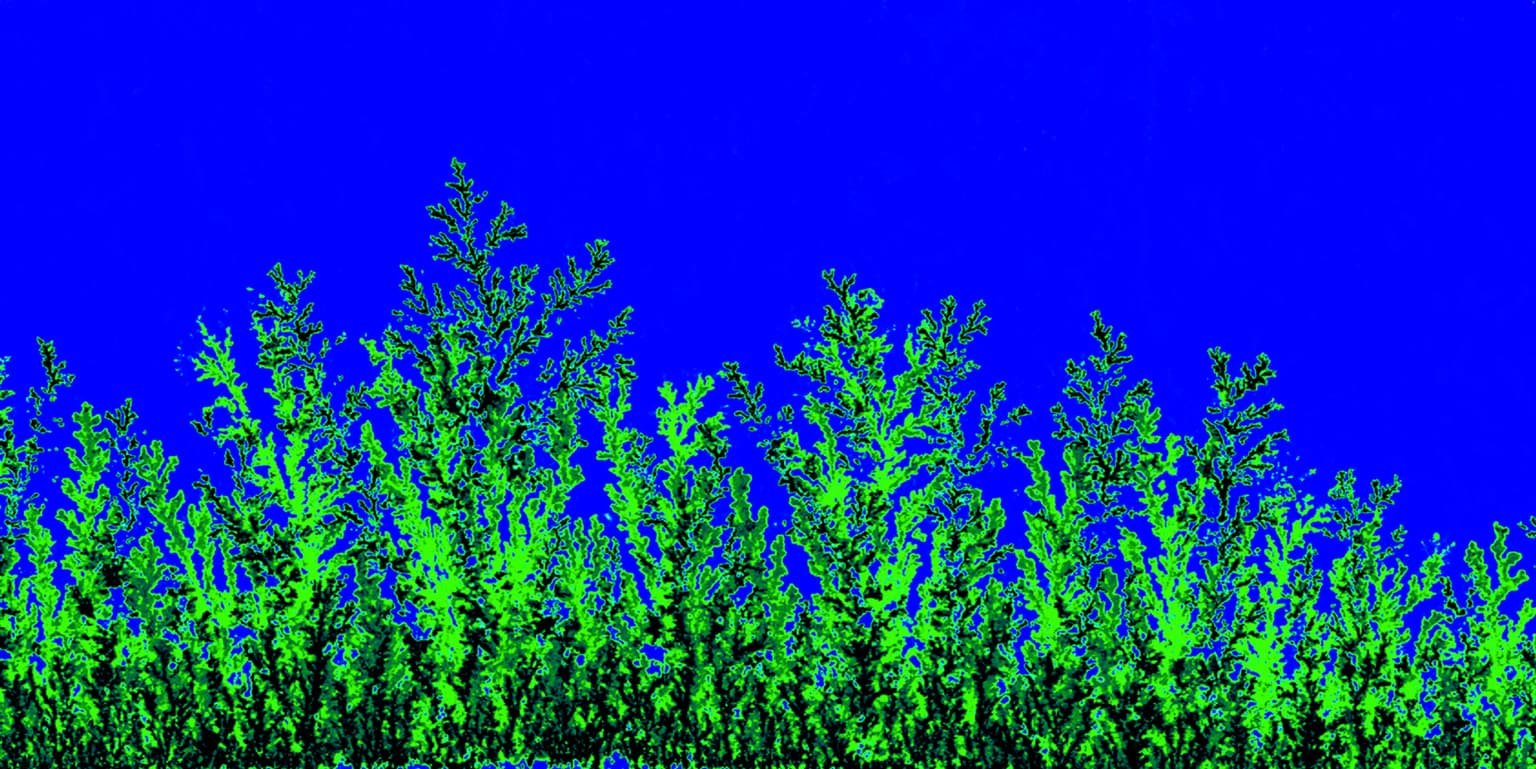 Image for entry 'Crystalscapes2'