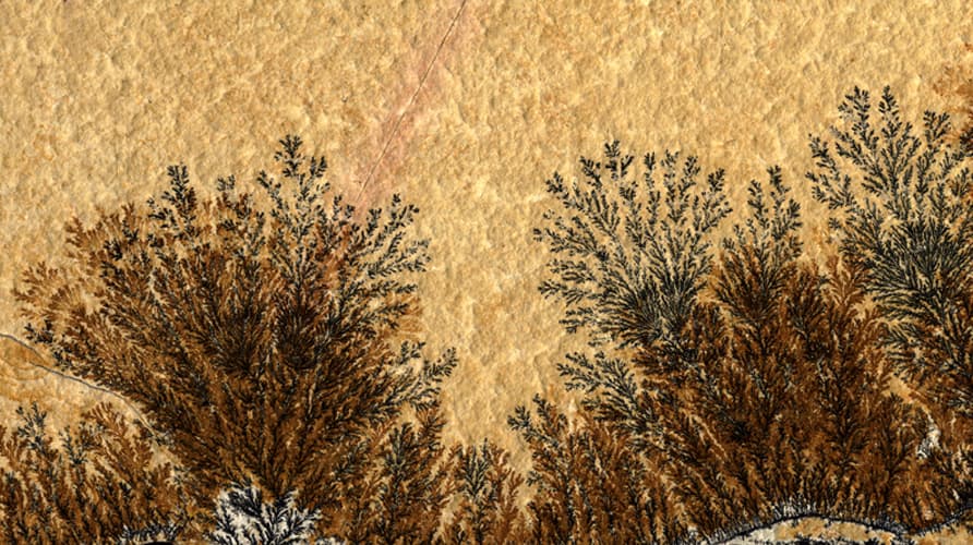 Image for submission 'Zsuzsa Dárdai'