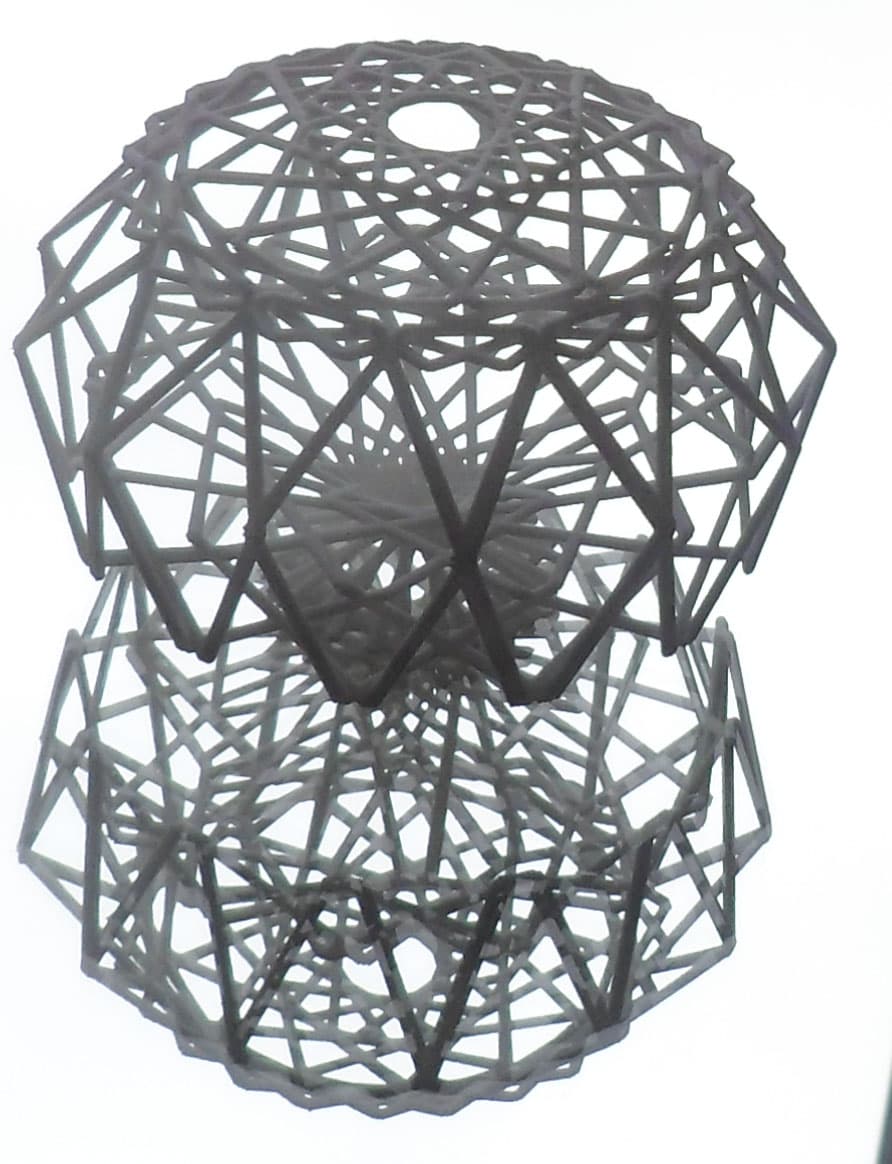 Image for entry 'Emergence of Order'