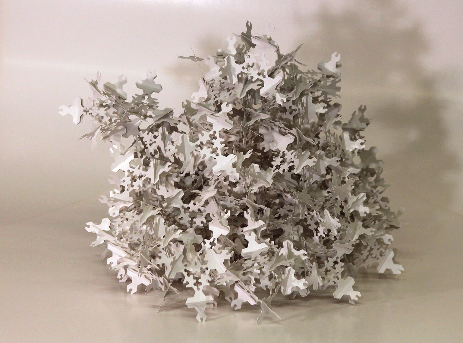 Image for entry '224 pieces out of order'