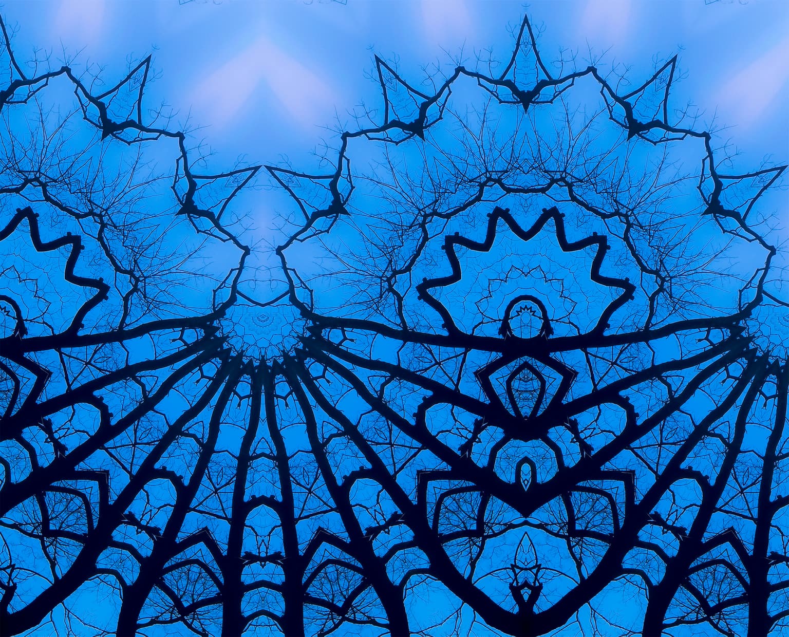 Image for submission 'Vincent Schumacher'