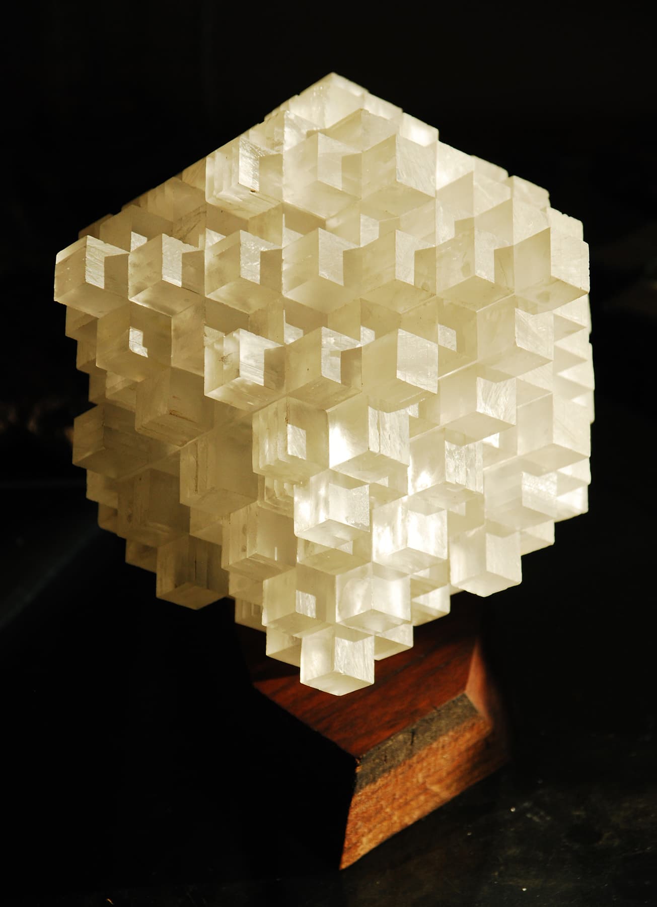 Image for Rhombid 2a