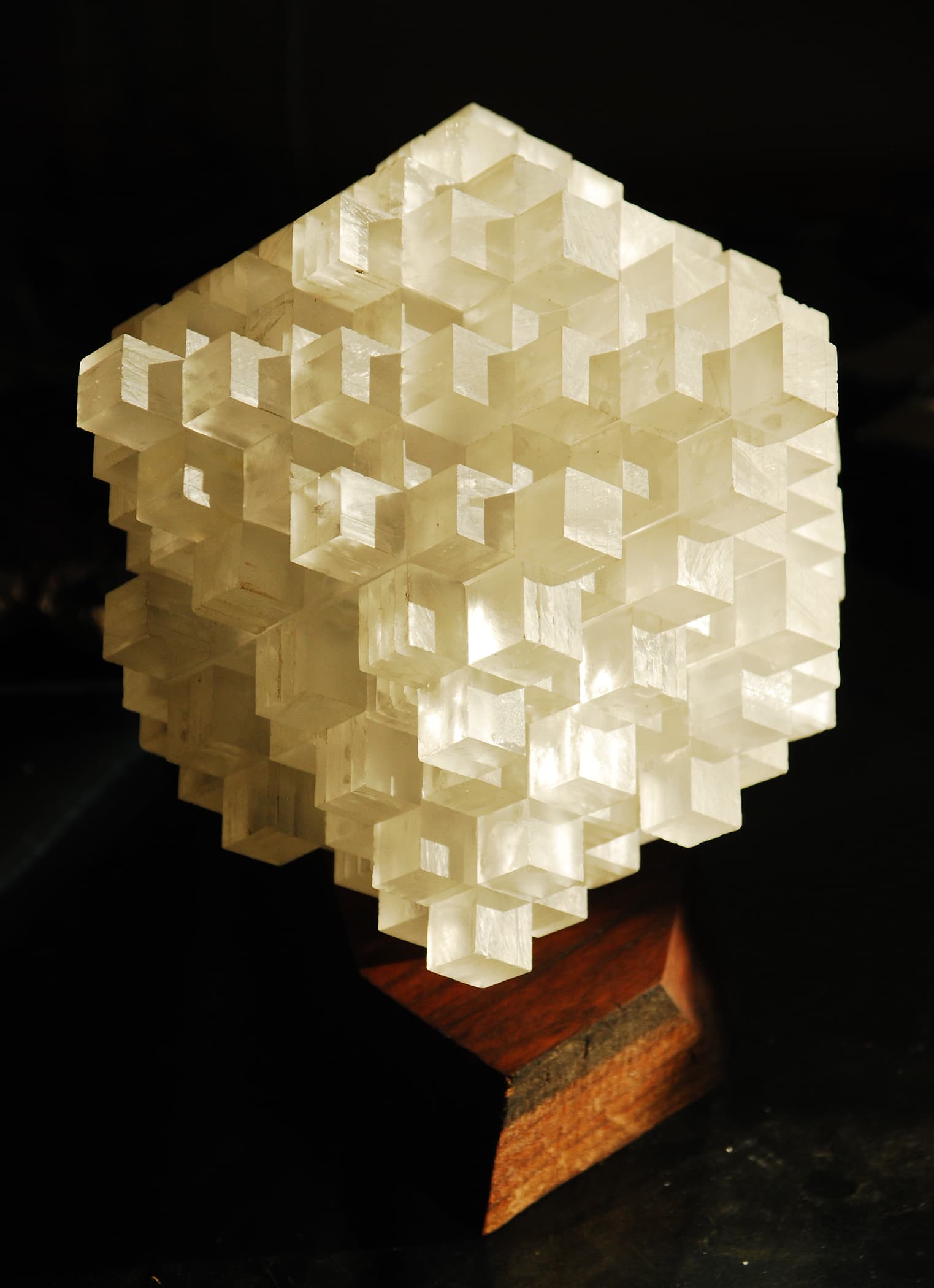 Image for submission 'Caleb Nussear'