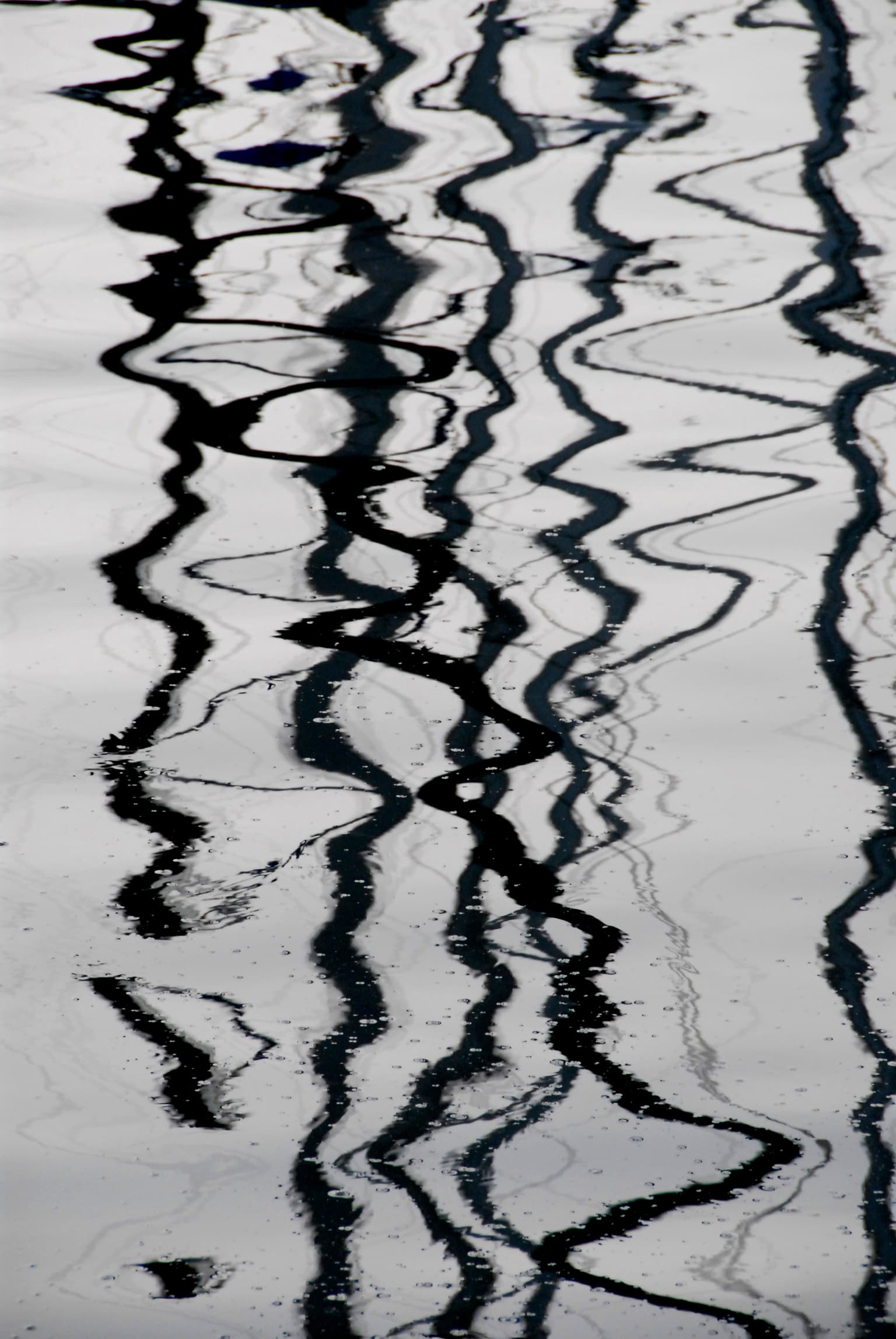 Image for submission 'Mohammad Yavari Rad'