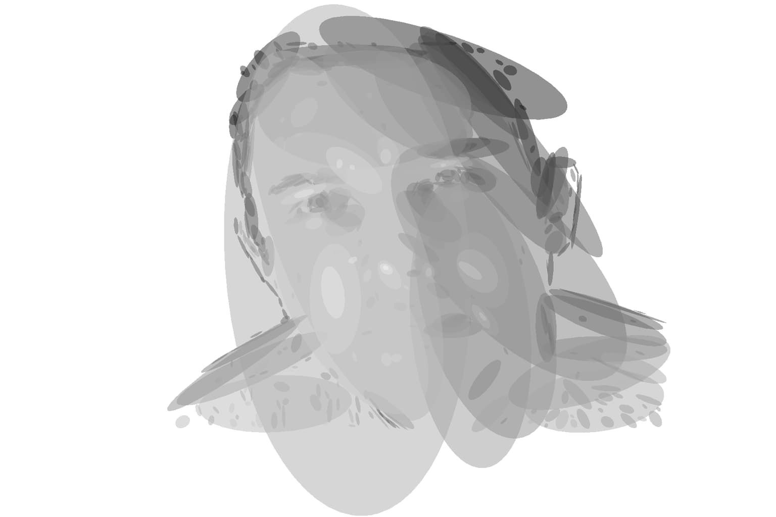 Image for entry 'Self portrait with ellipses'