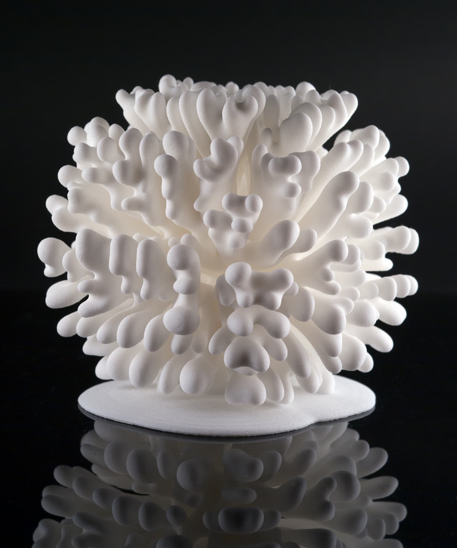 Image for Laplacian Growth #1