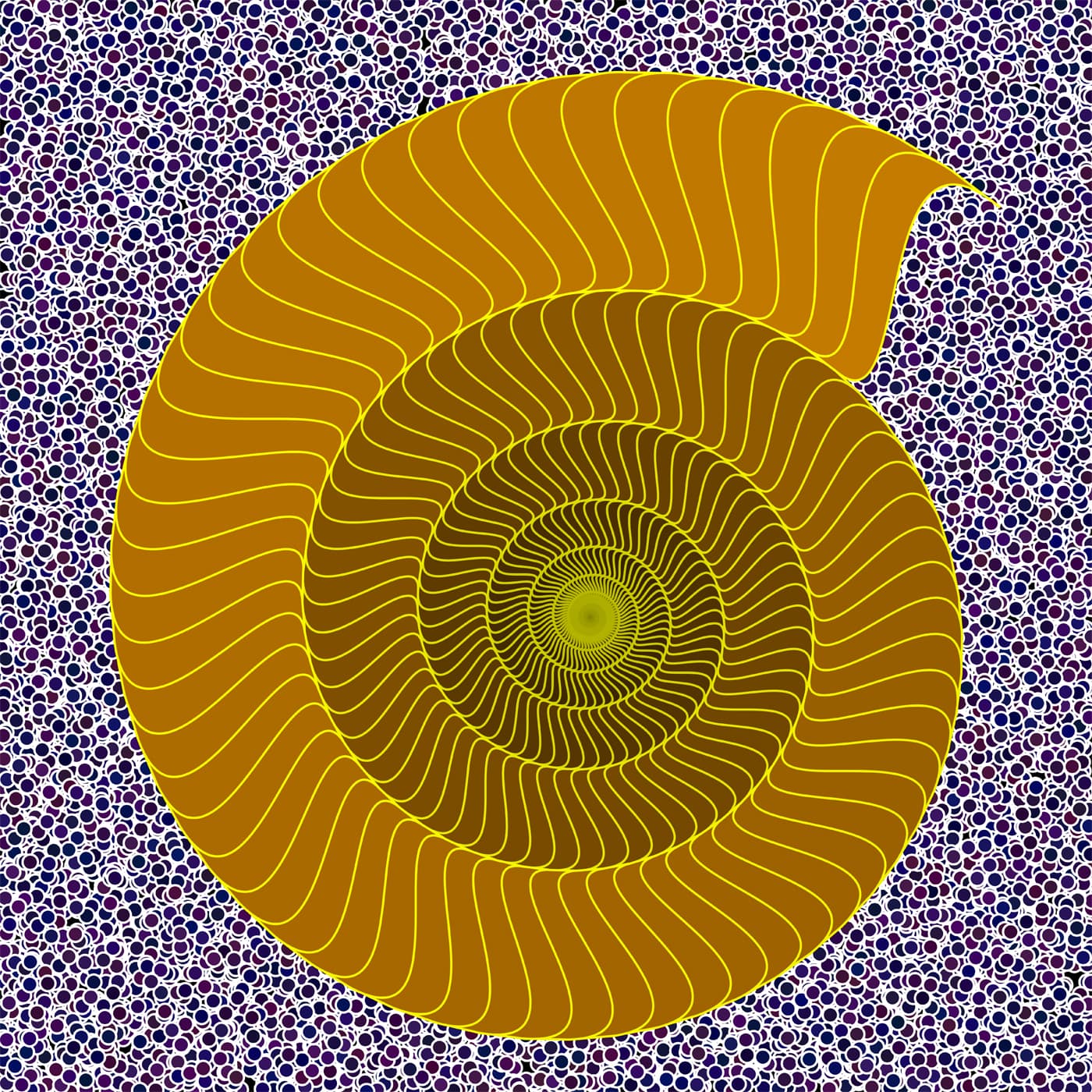 Image for entry 'Snail Shell'