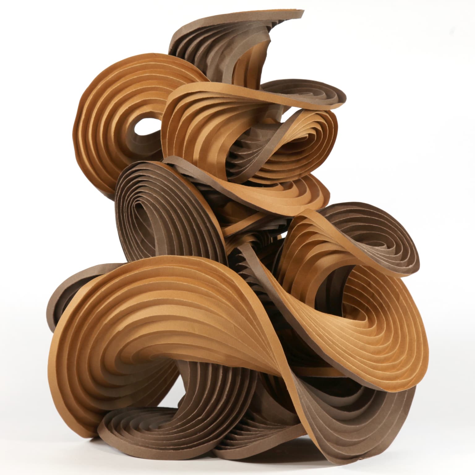 Image for submission 'Erik Demaine and Martin Demaine'