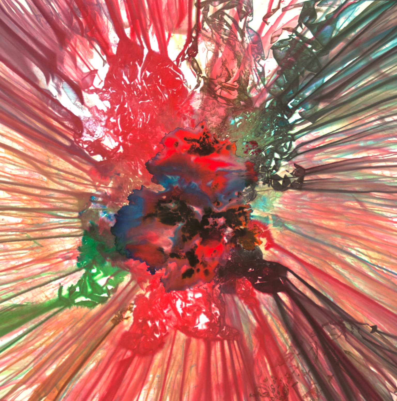 Image for submission 'Maya Freelon Asante'