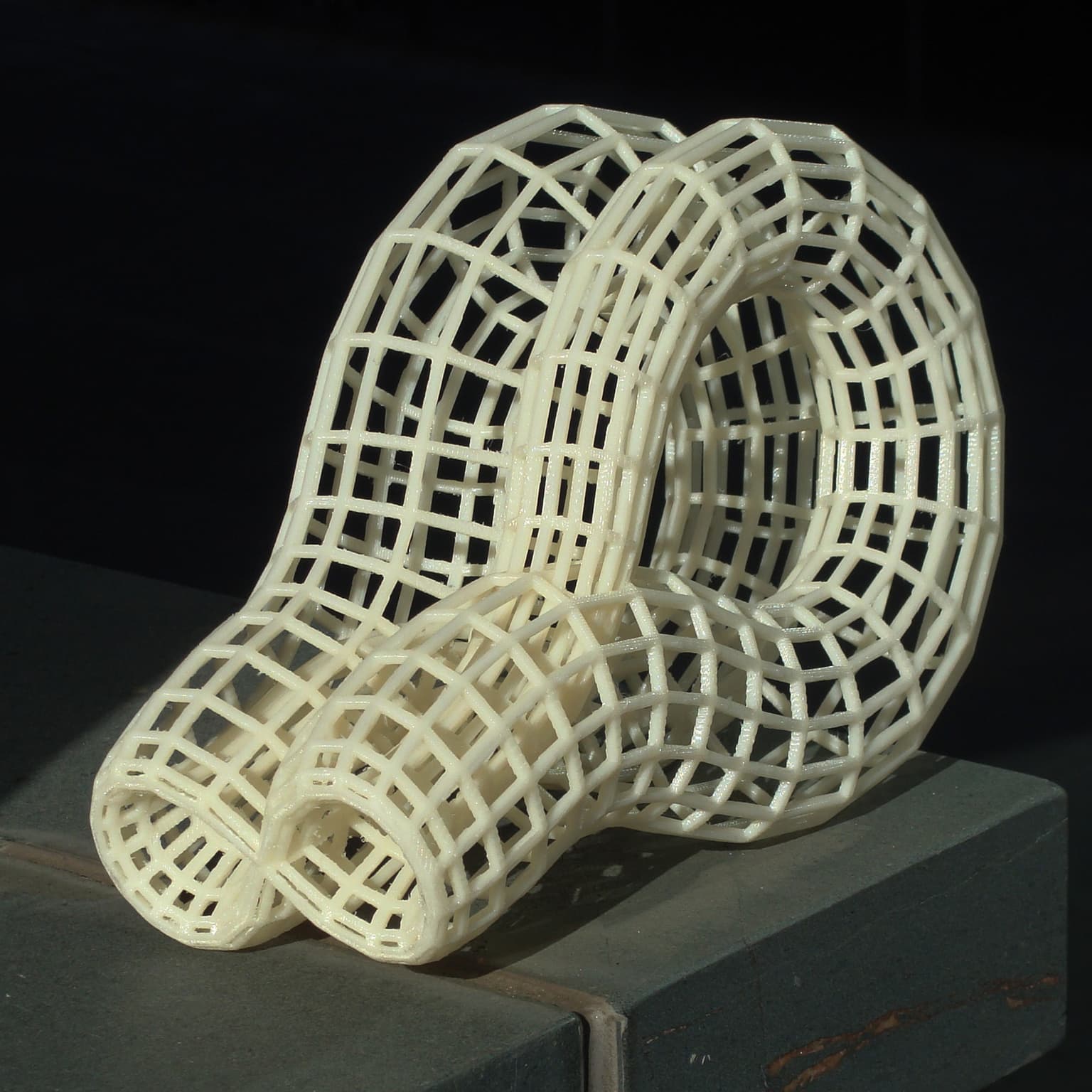 Image for entry 'Klein Bottle of Type K8L-JJ'